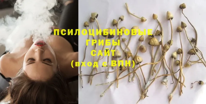 Галлюциногенные грибы MAGIC MUSHROOMS  Карачаевск 